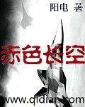 龍戰長空