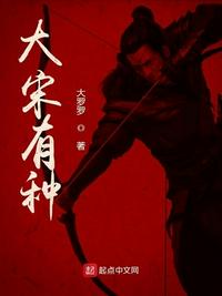 大宋有種