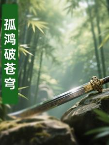 孤鴻破蒼穹