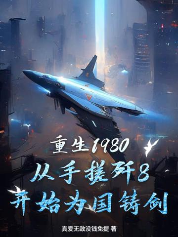 重生1980，從手搓殲8開始為國鑄劍