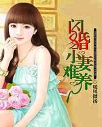閃婚之小妻難養