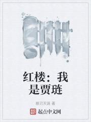 紅樓：我是賈璉